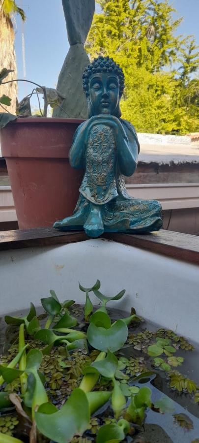 Pequena Estacion B&B 멘도사 외부 사진